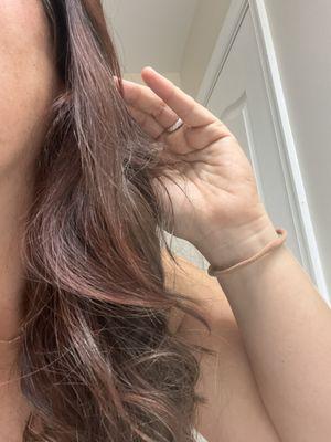 My hair the night I had Sarah color it