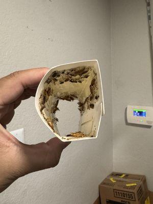 The Palms at South Mountain Apartments