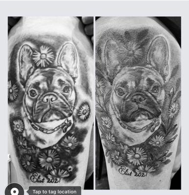 My french bulldog - original on left (diff artist) MJ's rework on right.
