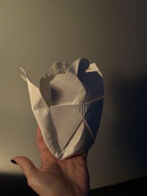 "Steamed" white rice