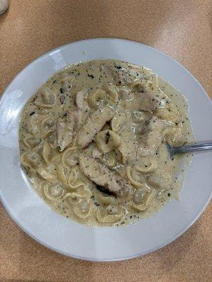Chicken tortellini Alfredo.