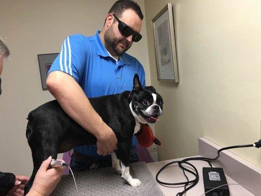 County Animal Hospital