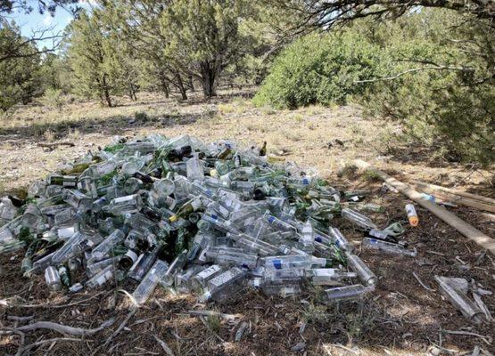 Nieves Junk and Haul