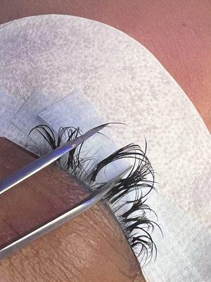 terrible lash isolation from this place.