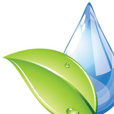 Spring North Professional Cleaning Services