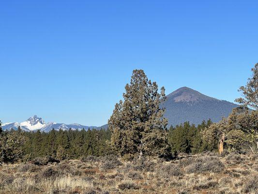 Willow Springs Preserve