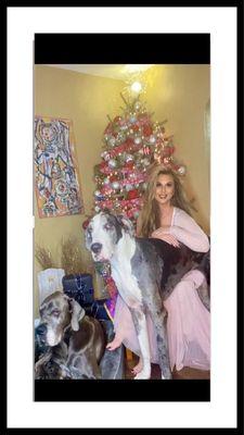 Ranger's Pet Outpost and Retreat