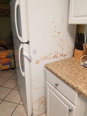 Continental Condominiums