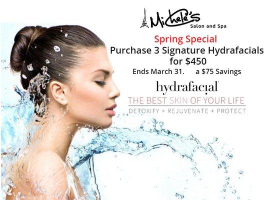 Michele's Salon & Spa