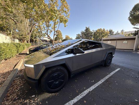 Freshly tinted Cybertruck