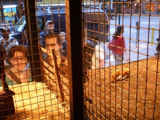 The Village Pet Store and Charcoal Grill