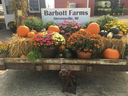 Barbott Farms & Greenhouses
