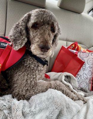 Delivering food for holiday collection