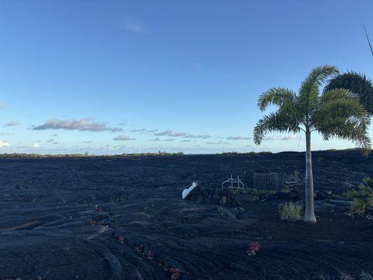 Hot Foot Photography