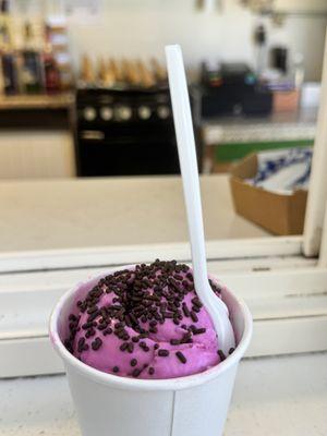 Shirley's Northern Lights Gourmet Ice Cream