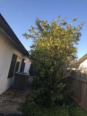 Down To Earth Outdoor Aesthetics