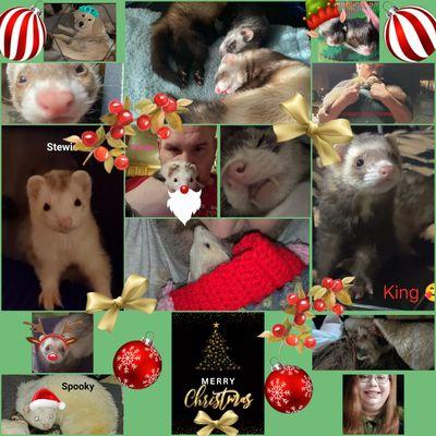 Dooks of Earl Ferret Sanctuary