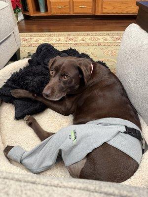 This is her the next morning when I picked her up when we got home.