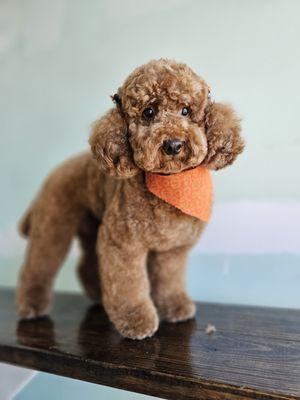 Pretty Pups Grooming