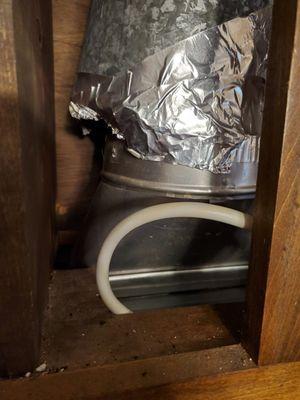 Where the squirrel chewed its way out of the vent