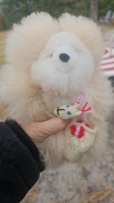 Silver Fox Farm Alpacas