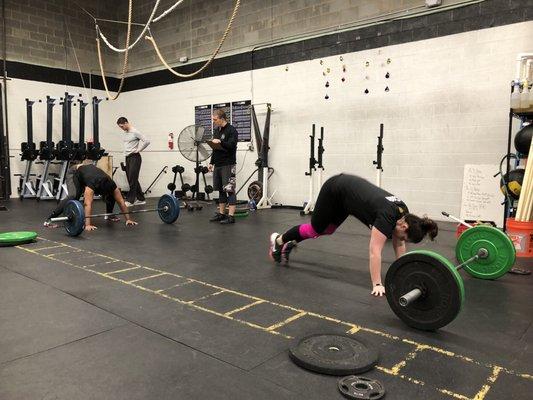 Shady Grove Strength