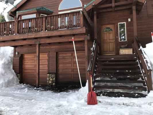 Active Tree and Yard Service