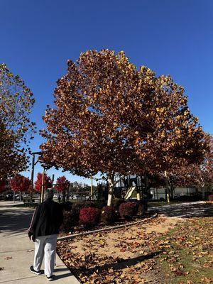 Jensen Botanical Gardens