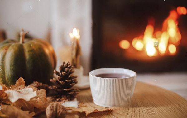 Quantum Healing and Wellness Guide