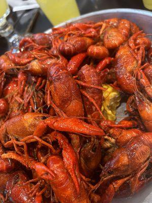 Crawfish!