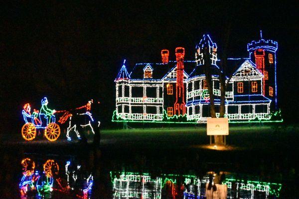 Bright Nights At Forest Park