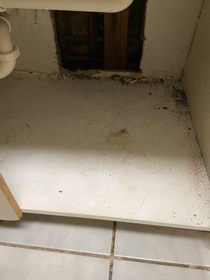 Hole under sink not covered