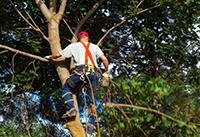 Daniel's Lawn Service And Pressure Washing