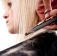 Unisex hair salon in Haddonfield, NJ
