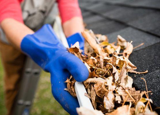 We'll hand clean your gutter to make sure we don't miss any type of debris . Preventing from getting clogged again .
