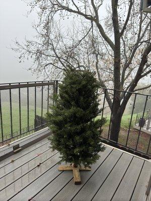 Santa's Surplus Trees