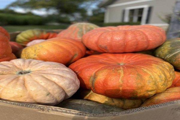 Nehm's Greenhouses & Floral