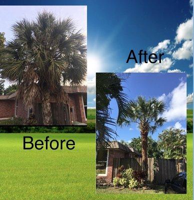 Desimini Landscaping