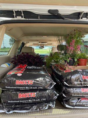 Fairfax Greenhouse & Landscape