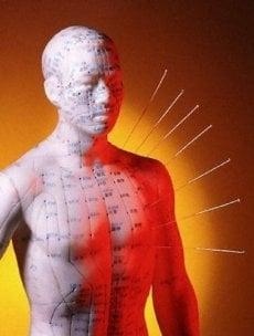 MD Integrative Acupuncture and Nutrition Services