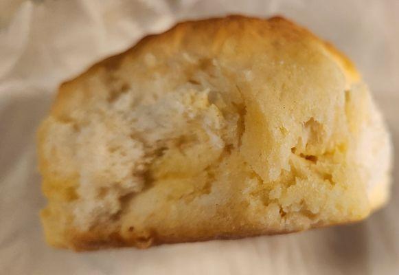 cross section of huge biscuit