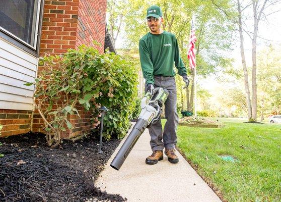 Davey Tree Expert Co