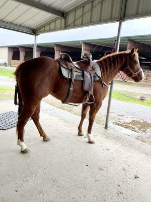 Cottonwood Creek Equestrian Center