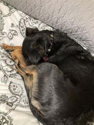 Sleeping after daycare!