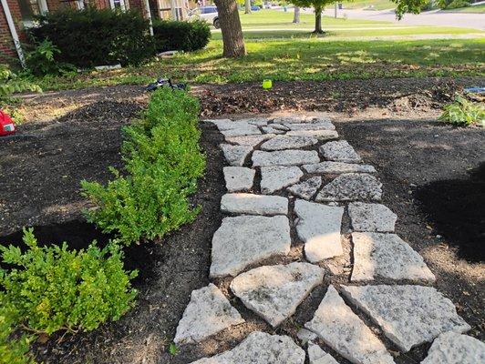 Rooted Lawn & Landscape