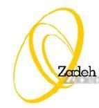 Zadeh Consulting Services