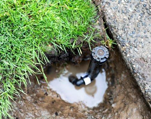 J Lozano Lawn Services