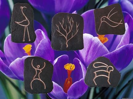 Derived From Nature