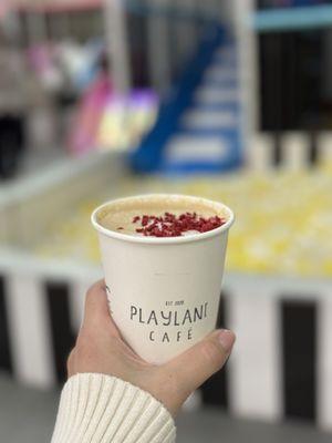 Playland Indoor Playground