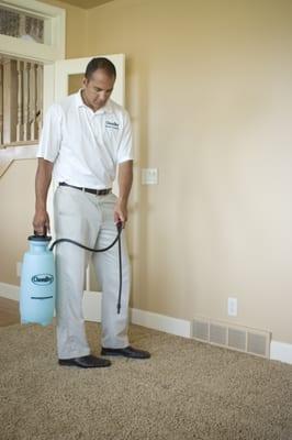 Five Star Chem-Dry Upholstery & Carpet Cleaning